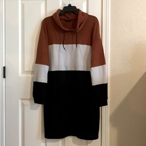 Colorblock Sweater Dress with hood
